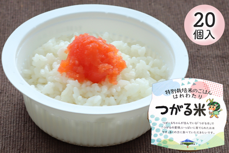 特別栽培米のパックごはん はれわたり「つがる米」20個入り｜パックご飯 ごはん お米 白米 はれわたり 時短 キャンプ お手軽 青森県産米 特別栽培 防災 備蓄 [0792]