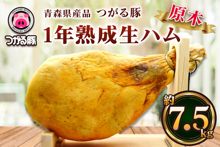 つがる豚 1年熟成 生ハム 原木 約7.5kg|生ハム 原木 おつまみ ギフト ブロック 熟成 ハム 豚肉 ポーク 冷蔵 前菜 つがる 豚 ブランド豚 木村牧場 [0840]