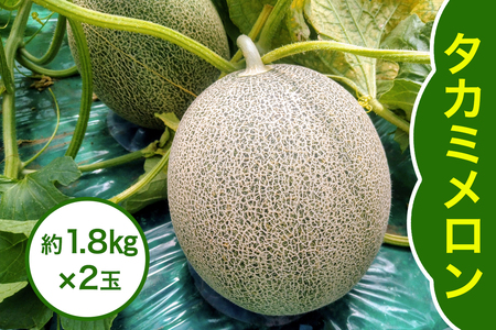 タカミ メロン 約1.8kg×2玉 [0858]