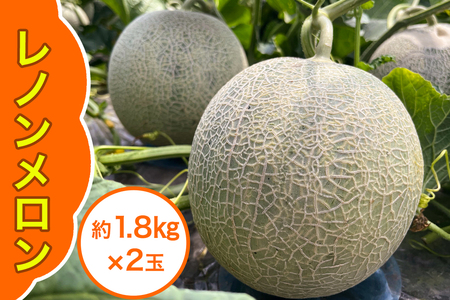 レノン メロン 約1.8kg×2玉|2025年 令和7年 青森 津軽 つがる産 レノン メロン めろん 特産 ジューシー 糖度 フルーツ 果物 ギフト 産直 赤肉メロン 夏メロン [0859]