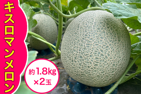 キスロマン メロン 約1.8kg×2玉|2025年 令和7年 青森 津軽 つがる産 キスロマン キスミー めろん キスミーメロン 特産 ジューシー 糖度 フルーツ 果物 ギフト 産直 青肉メロン 夏メロン [0862]