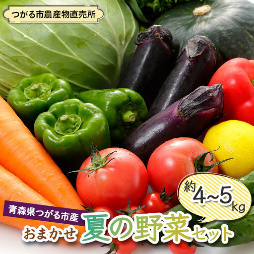 つがる市産 おまかせ夏の野菜セット 約4kgから5kg [1006]