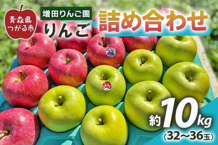 りんご 詰め合わせ 10kg (32〜36玉)｜青森県産 津軽 つがる リンゴ [0059]
