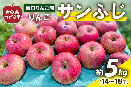 りんご サンふじ 5kg (14〜18玉)｜青森県産 津軽 つがる リンゴ [0061]