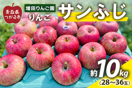  Tӂ 10kg (28ʂ36) XY sy2025N11{菇zbXY Ìy  S ʕ t[c X ӂ ӂ TtW ߘa7N 2025N [0613]