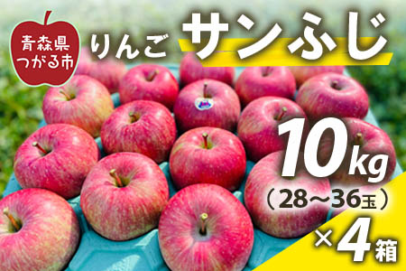 りんご サンふじ10kg (28〜36玉)×4箱｜青森県産 津軽 つがる リンゴ [0063]
