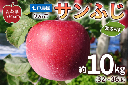 りんご サンふじ 葉取らず 10kg (32〜36玉) 青森県産 津軽 つがる リンゴ [0101]