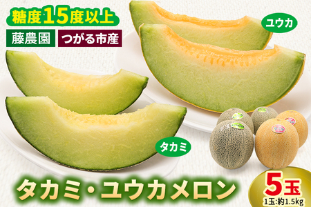 【先行予約】メロン [タカミ] [ユウカ] 5玉セット｜舐瓜 [0963]