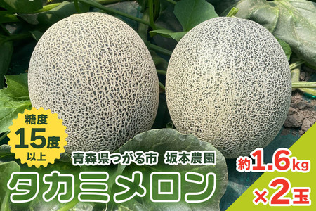 坂本農園のブランドメロン タカミ (約1.6kg×2玉) 糖度15度以上|青森 津軽 つがる 果物 フルーツ ギフト 2024年産 [0628]