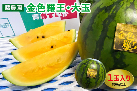 黄色いスイカ 金色羅王 大玉 1玉|青森産 産直 2025年産 令和7年 夏 すいか 西瓜 果物 フルーツ 旬 特産 藤農園 農福連携 ラオウ らおう 羅皇 [0621]