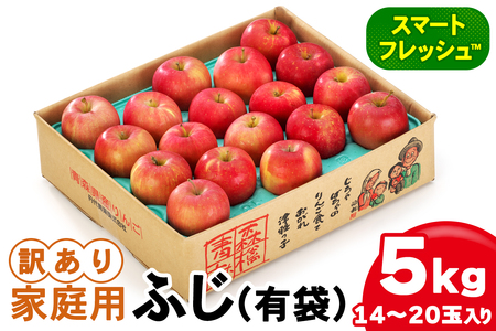 家庭用 りんご ふじ (有袋) スマートフレッシュ™ 5kg (14玉から20玉入り 5kg 1箱) 見た目にわけあり 味はそのまま｜青森 つがる 訳あり 訳アリ リンゴ 青森りんご フルーツ 果物 [0830] 