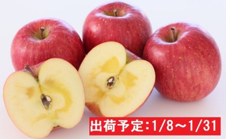 年明け 蜜入り糖度14度以上サンふじ約3kg 青森県平川市産