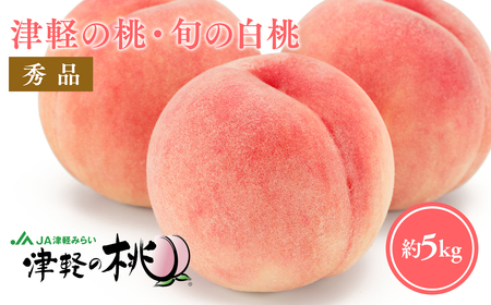 ≪8月中旬～8月下旬発送予定≫津軽の桃 旬の白桃 約5kg 秀品 《hi-0001-005》
