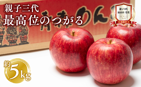 【9月発送】 親子三代最高位のつがる約5kg【全国ふじコンテスト最高賞受賞農園・平川市広船産りんご】[hi-0003-021]