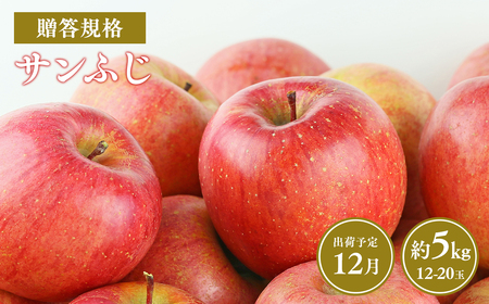 【令和7年産先行受付】令和7年12月発送 贈答用規格サンふじ約5kg【青森県平川市産・青森りんご】りんご リンゴ 林檎 りんご 青森 平川市産 [hi-0038-009]