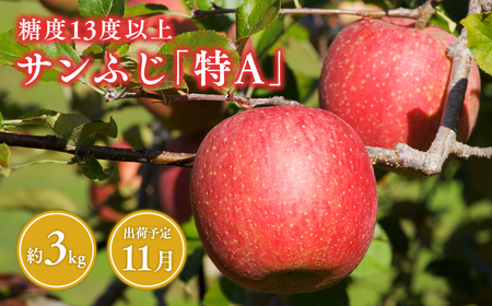 [11月発送] サンふじりんご 「 特A 」規格 約3kg(8〜10玉程度) [糖度 13度以上 森山商店 平川市産 青森りんご 年内発送 11月 林檎 リンゴ りんご サンふじ ふじ 特A規格 光センサー 選果 平川市 青森県]