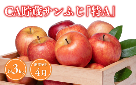 [4月発送] CA貯蔵サンふじ 約3kg(8〜10玉程度)[りんご 森山商店 平川市産 青森りんご 年明け発送 4月 CA 貯蔵 林檎 リンゴ サンふじ ふじ 葉とらず 平川市 青森県]