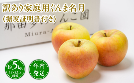 年内発送 [訳あり]家庭用ぐんま名月約5kg(糖度証明書付き) [那由多のりんご園・平川市産]りんご リンゴ 林檎 りんご 青森 平川市産