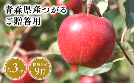 9月発送 贈答用つがる3kg [そと川りんご園・9月・青森県産・平川市・りんご・つがる・3kg・贈答用]