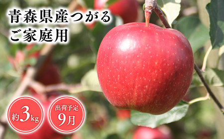 9月発送 [訳あり]家庭用つがる3kg [そと川りんご園・9月・青森県産・平川市・りんご・つがる・3kg・訳あり・家庭用]