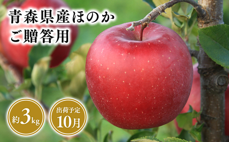 10月発送 贈答用ほのか3kg [そと川りんご園・9月・青森県産・平川市・りんご・ほのか・3kg・贈答用]