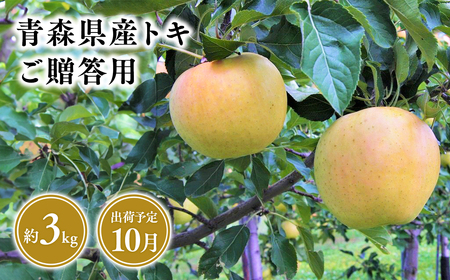 10月発送 贈答用トキ3kg [そと川りんご園・10月・青森県産・平川市・りんご・トキ・3kg・贈答用]