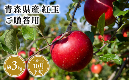 10月発送 贈答用紅玉3kg [そと川りんご園・10月・青森県産・平川市・りんご・紅玉・3kg・贈答用]