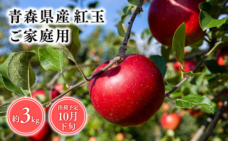 10月発送 [訳あり]家庭用紅玉3kg [そと川りんご園・10月・青森県産・平川市・りんご・紅玉・3kg・訳あり・家庭用]