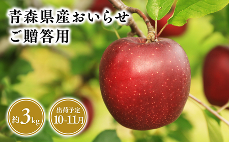 10月・11月発送 贈答用おいらせ3kg [そと川りんご園・10月・11月・青森県産・平川市・りんご・おいらせ・3kg・贈答用]