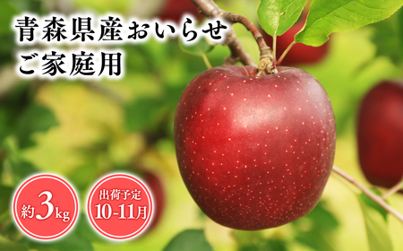 10月・11月発送 [訳あり]家庭用おいらせ3kg [そと川りんご園・10月・11月・青森県産・平川市・りんご・おいらせ・3kg・訳あり・家庭用]