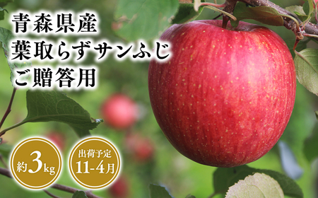 11月〜4月発送 贈答用葉とらずサンふじ3kg [そと川りんご園・11月・12月・1月・2月・3月・4月・青森県産・平川市・りんご・葉とらずサンふじ・3kg・贈答用]