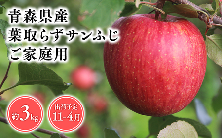 11月〜4月発送 [訳あり]家庭用葉とらずサンふじ3kg [そと川りんご園・11月・12月・1月・2月・3月・4月・青森県産・平川市・りんご・葉とらずサンふじ・3kg・訳あり・家庭用]