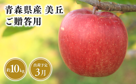 【レビューキャンペーン】2025年産 ３月発送　贈答用美丘10ｋｇ　【そと川りんご園・３月・青森県産・平川市・りんご・美丘・10ｋｇ・贈答用】[hi-0053-070]