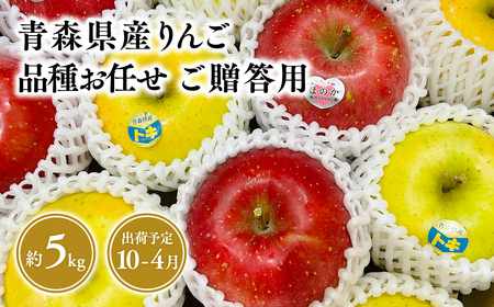 2025年産 品種お任せ　贈答用　旬のりんご詰め合わせ5㎏りんご リンゴ 林檎 りんご 青森 平川市産 
