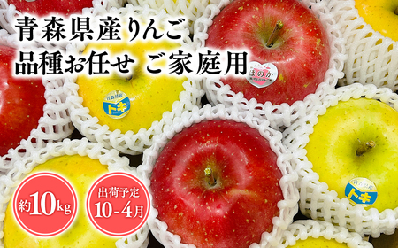 2025年産 品種お任せ　【訳あり】家庭用　旬のりんご詰め合わせ10㎏りんご リンゴ 林檎 りんご 青森 平川市産 