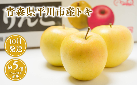 [レビューキャンペーン]10月 青森県産 トキ 約5kg [青森県 平川市 JA津軽みらい]10月発送 青森 青森県産 平川 りんご リンゴ 林檎 くだもの 果物 フルーツ [hi-0001-006]
