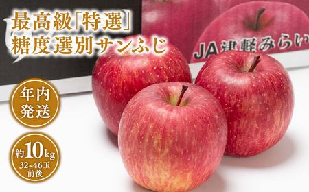 [レビューキャンペーン]年内 最高級「特選」 糖度選別サンふじ約10kg [青森県 平川市 JA津軽みらい 12月]青森 青森県産 平川 りんご リンゴ 林檎 くだもの 果物 ふじ フルーツ[hi-0001-019]