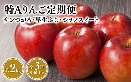 [レビューキャンペーン][定期便3回 9月発送開始]特Aりんご定期便 サンつがる・早生ふじ・シナノスイート(各約2kg)全3回[青森県 平川市 JA津軽みらい 9月・10月・11月]青森 青森県産 平川 りんご リンゴ 林檎 つがる 早生ふじ シナノスイート くだもの 果物 フルーツ [hi-0001-021]