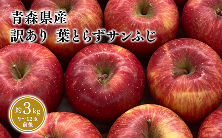 1〜3月 訳あり 葉とらず サンふじ 家庭用 約3kg [岩渕農園・平川市産・青森りんご・1月・2月・3月]