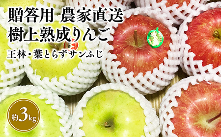 ふるなび限定品!![11〜12月発送]贈答用 農家直送 樹上熟成りんご 王林・葉とらずサンふじ 約3kg[平川市産・青森りんご]