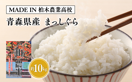 [MADE IN 柏木農業高校]1月中旬〜発送 令和6年産 まっしぐら 10kg