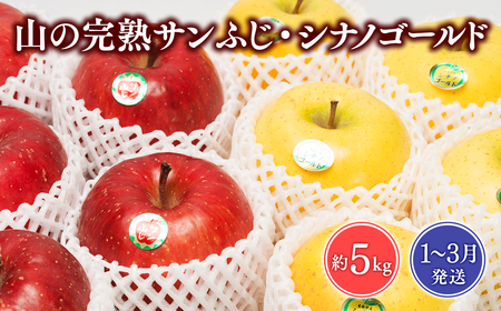 [2026年1~3月発送]吹田りんご園 山の完熟サンふじ・シナノゴールド約5kg[吹田りんご園・青森りんご・平川市広船産・1月・2月・3月]りんご リンゴ 林檎 りんご 青森 平川市産