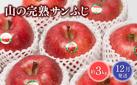 12月 吹田りんご園 山の完熟サンふじ約3kg [吹田りんご園・青森りんご・平川市広船産・12月]