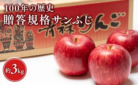 12月発送 100年の歴史 贈答規格サンふじ 約3kg[田中農園・青森県平川市産・青森りんご][hi-0039-004]