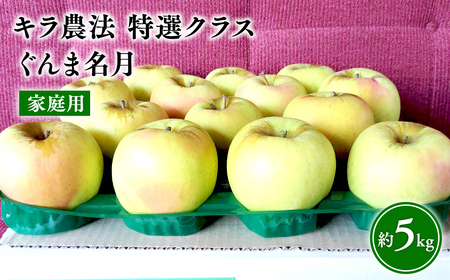 11〜12月 家庭用 キラ農法 ぐんま名月約5kg [青森りんご・平川市広船産・11月・12月]