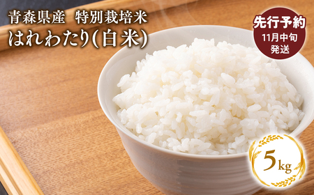 [令和7年産 先行予約 配送時期:2025年11月中旬〜] 特別栽培米 はれわたり白米5kg