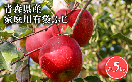 【レビューキャンペーン】【5月～6月発送】家庭用有袋ふじ5kg【丸勝木村商店・青森りんご】[hi-0055-005]