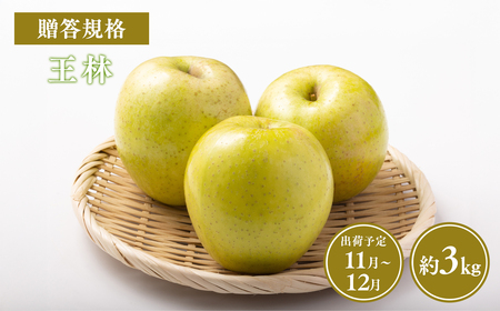 【令和7年産受付】贈答用王林約3kg【青森県平川市産・青森りんご】りんご リンゴ 林檎 りんご 青森 平川市産 [hi-0038-027]