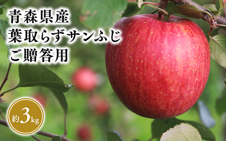 2025年5〜6月発送! 葉とらずサンふじ3kg贈答用[そと川りんご園]りんご リンゴ 林檎 りんご 青森 平川市産
