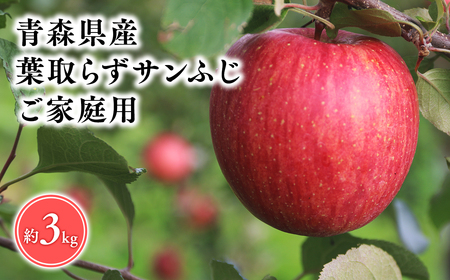 2025年5〜6月発送! 葉とらずサンふじ3kg訳あり家庭用[そと川りんご園]りんご リンゴ 林檎 りんご 青森 平川市産